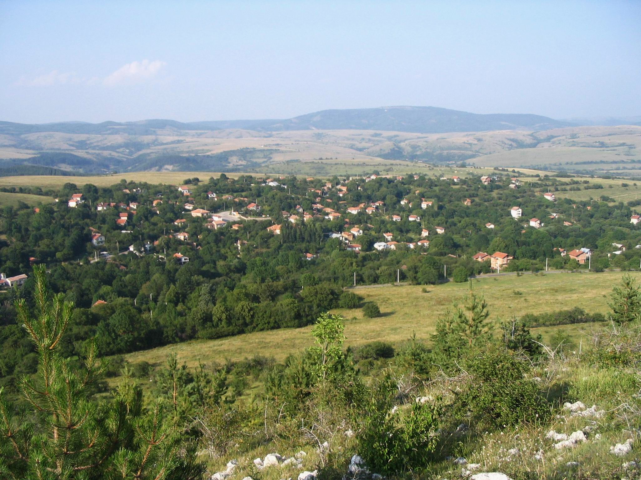 Село Лялинци,общ изглед