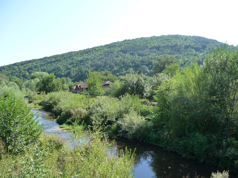 Река Златица