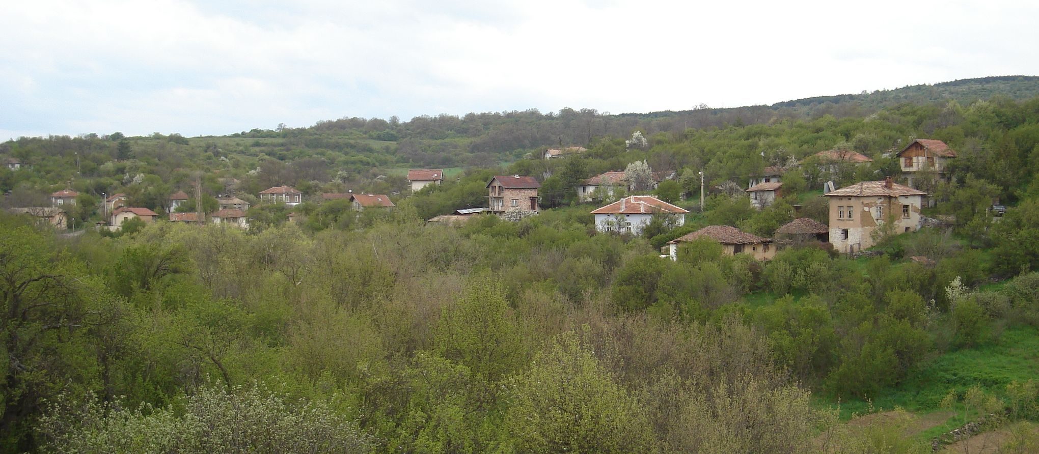 Село Чепърлинци