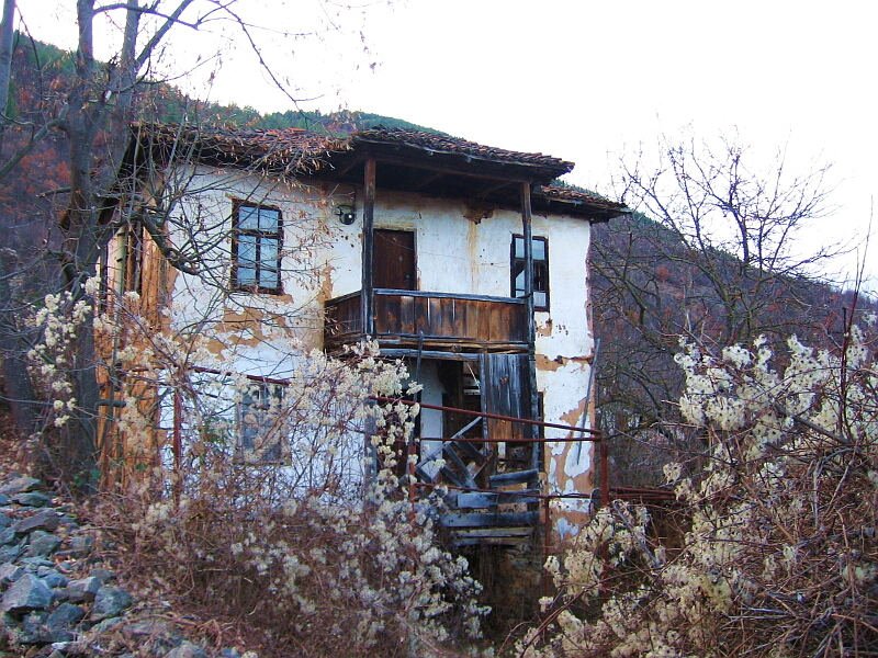 Пастушанска архитектура