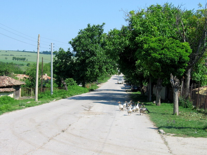 Главната улица в Черноглавци