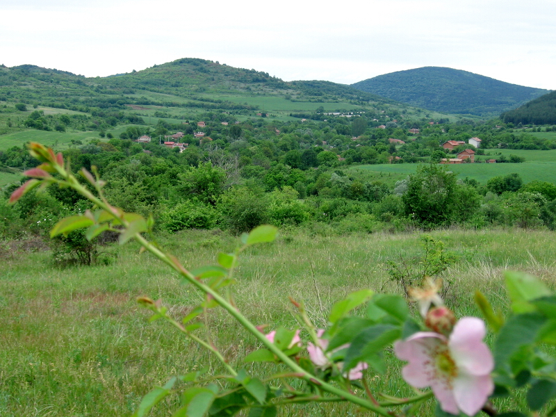 Изглед на село Стоян Заимово