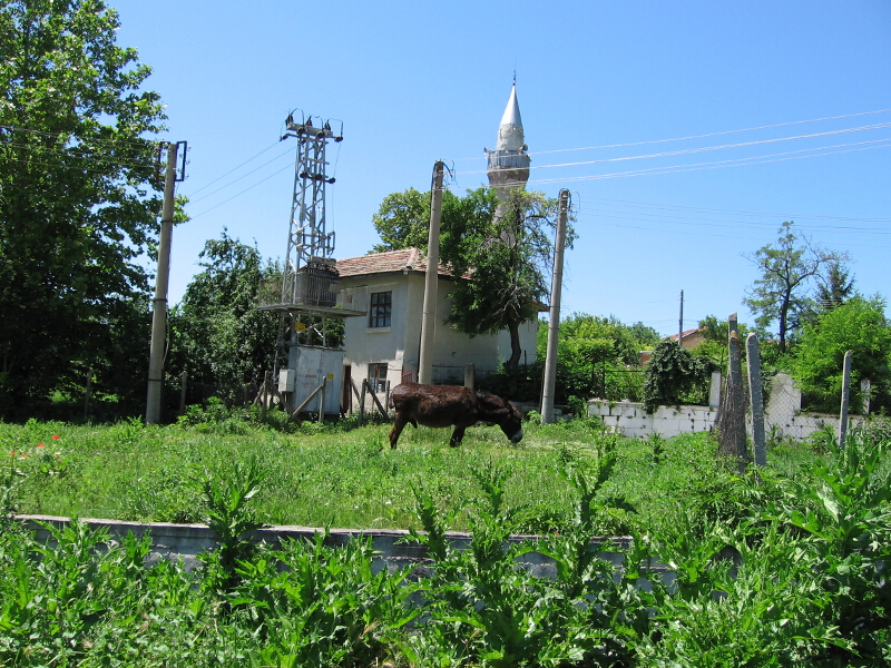 Пейзаж от Троица