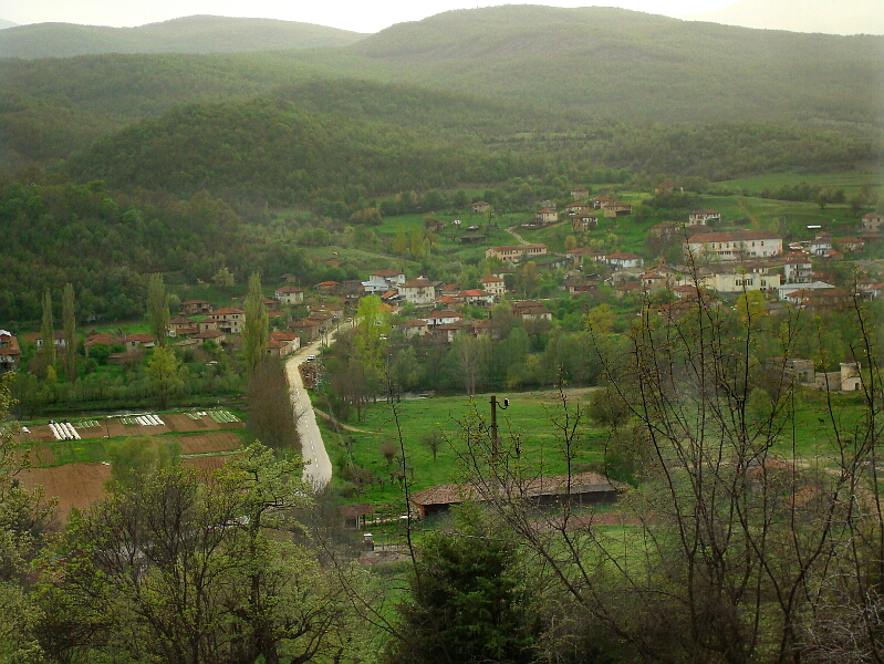 Общ изглед на село Гугутка